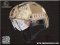 EmersonGear หมวก FAST Helmet Protective Goggle PJ Type EM8819