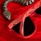 SERPENTINE DREAM