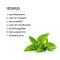 ชาสเปียร์มิ้นท์ Spearmint Tea
