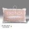 EXOTICA Touch Down Pillow