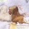 Dogchestra