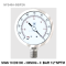 -30 inhg to 0 Bar Ø 4" Stainless steel Lower 1/2"