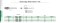 SE Egg • Master-Cut Burs • Inch