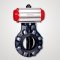 Pneumatic Actuated Butterfly Valve