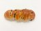 Raisin Bread