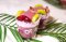 Taro Pudding with Kiwi & Grape Fruits