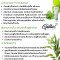 Gilla8 Tea Tree Cica Extra Calming Cream 50 ml.