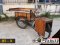 รถซาเล้ง Tricycle : Vintage/Modern Style BT - 3
