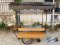 Thai Food cart with roof : CTR - 168