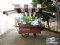 Thai Food cart with roof : CTR - 196