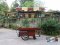 Thai Food cart with roof : CTR - 202
