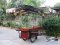 Thai Food cart with roof : CTR - 202