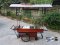 Thai Food cart with roof : CTR - 202