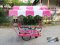 Thai Food cart with roof : CTR - 204