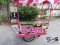 Thai Food cart with roof : CTR - 204