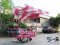 Thai Food cart with roof : CTR - 204