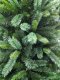 Frosted New Carolina Spruce Tree