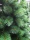 New Alaskan Pine Tree