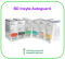 เข็มเปิดเส้น BD Insyte Autoguard Shielded I.V. Catheter (50 อัน/กล่อง) (Pre-order รอจัดส่ง 2 สัปดาห์)
