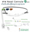 High Flow Nasal Cannula - BMC Adult (NC12) ผู้ใหญ่