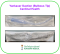 Yankauer Suction (Bulbous Tip) Cardinal Health