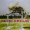 Beck! – Odelay