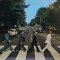 The Beatles – Abbey Road