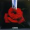 Scorpions – Tokyo Tapes