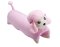 Child Sleep-Poodle
