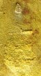 เตารีดโคกโพธิ์ ปี 39  พิมพ์ใหญ่ เนื้อทองทิพย์ บล็อคทองคำ หายาก พระฟอร์มสวยมาก (ขายแล้ว)