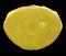 "องค์ดารา" พระกริ่งญาณวิทยาคม 2 เนื้อทองคำ หมายเลข ๙๙  (เท่าจำนวนสร้าง องค์สุดท้าย) พร้อมตลับทองฝังเพชรแท้  (โทรถาม)