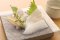 Frozen Greenland Halibut slice