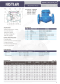 KISTLER SCV SWING CHECK VALVE CAST IRON VALVE
