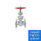 NIDEX Series NX-GAF – GATE VALVE
