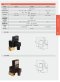 CS-720 Drain Valve With Timer Control