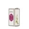 Essential Oil, Rose-Geranium, 10 ml.