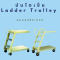 บันไดเข็น ( LADDER TROLLEY)