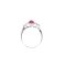 Ruby Mozambique