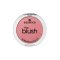 essence the blush 10 - เอสเซนส์เดอะบลัช 10