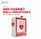AED CABINET WALLMOUNTABLE