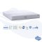 ที่นอน Synda Nature Prima