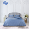 VASTNESSA BLUE