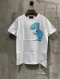Permanent Collection : 019