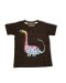 Dino Collection : Kids Sook Original Rainbow