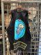 Dino Collection : Tops 076