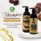 Soapberry Shampoo and Hair Conditioner