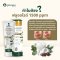 ภูมิพฤกษา ยาสีฟันสมุนไพร สูตรผสมฟลูออไรด์ 50g. CODE: 9424