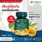 Prim – Kaempfer, Houttuynia cordata Thunb, Ginger Extract