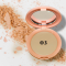 SELES Maximum Oil Control Compact Powder SPF 12 PA+++