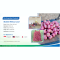 PT. Pratama Spices Indonesia